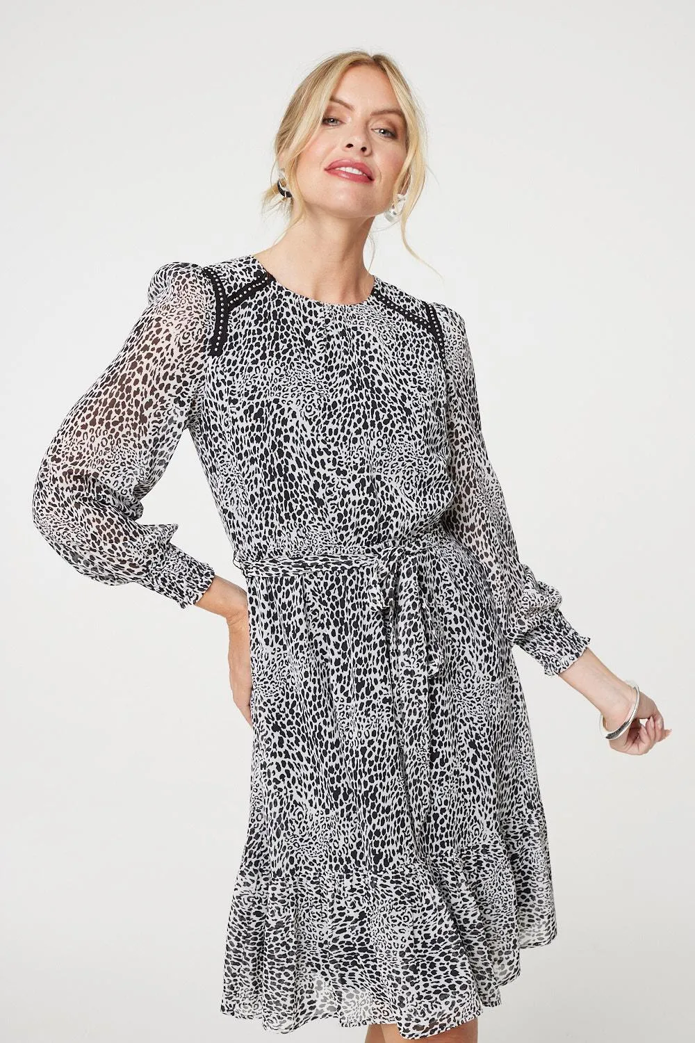 Animal Print Long Sleeve Dress