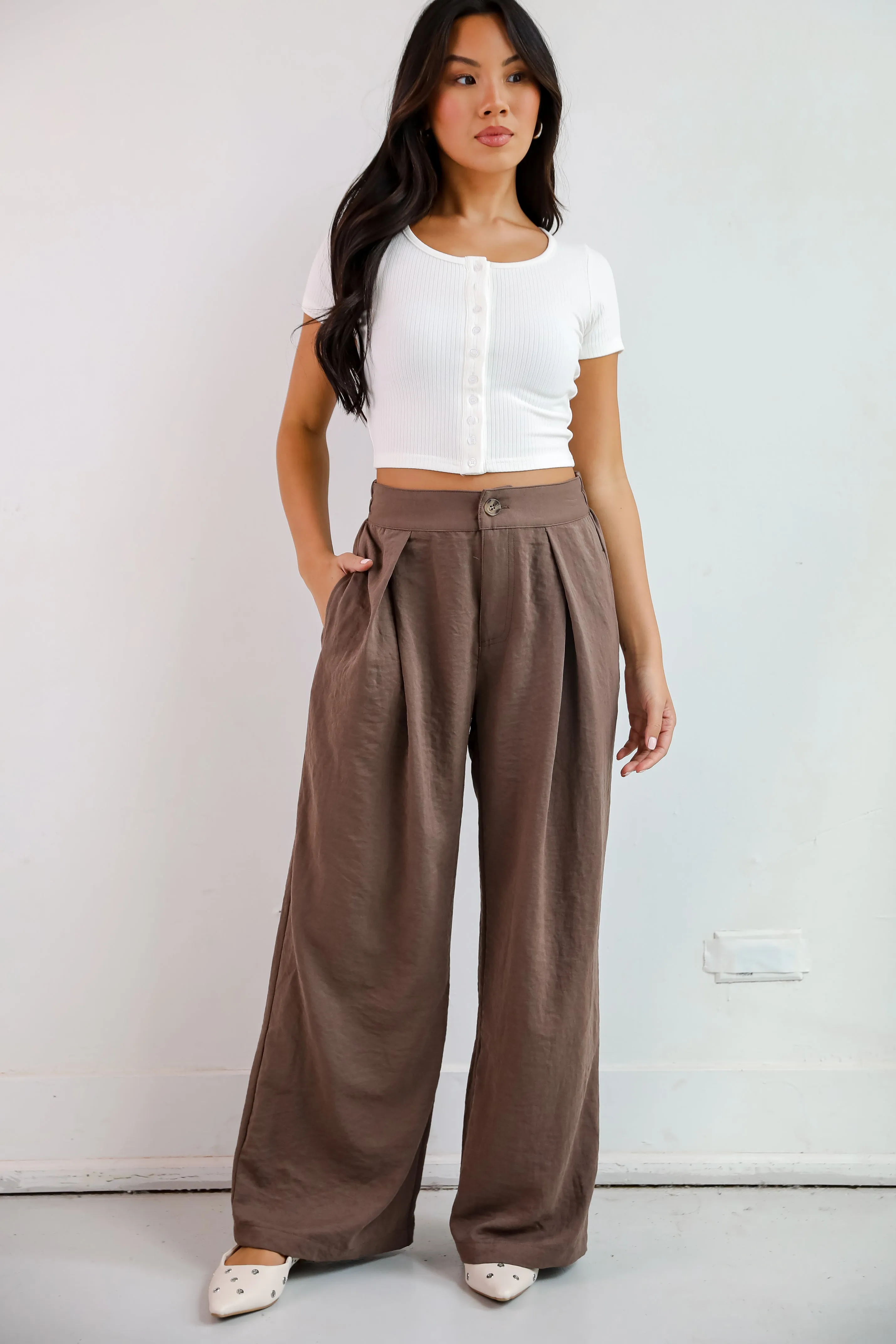 Chic Splendor Brown Trouser Pants