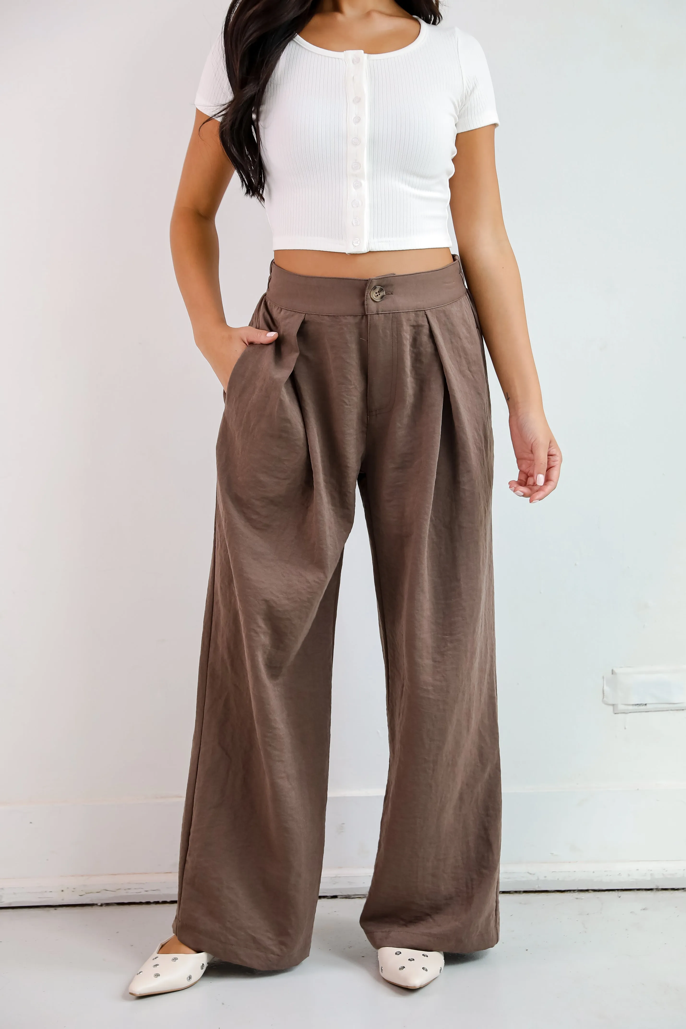 Chic Splendor Brown Trouser Pants