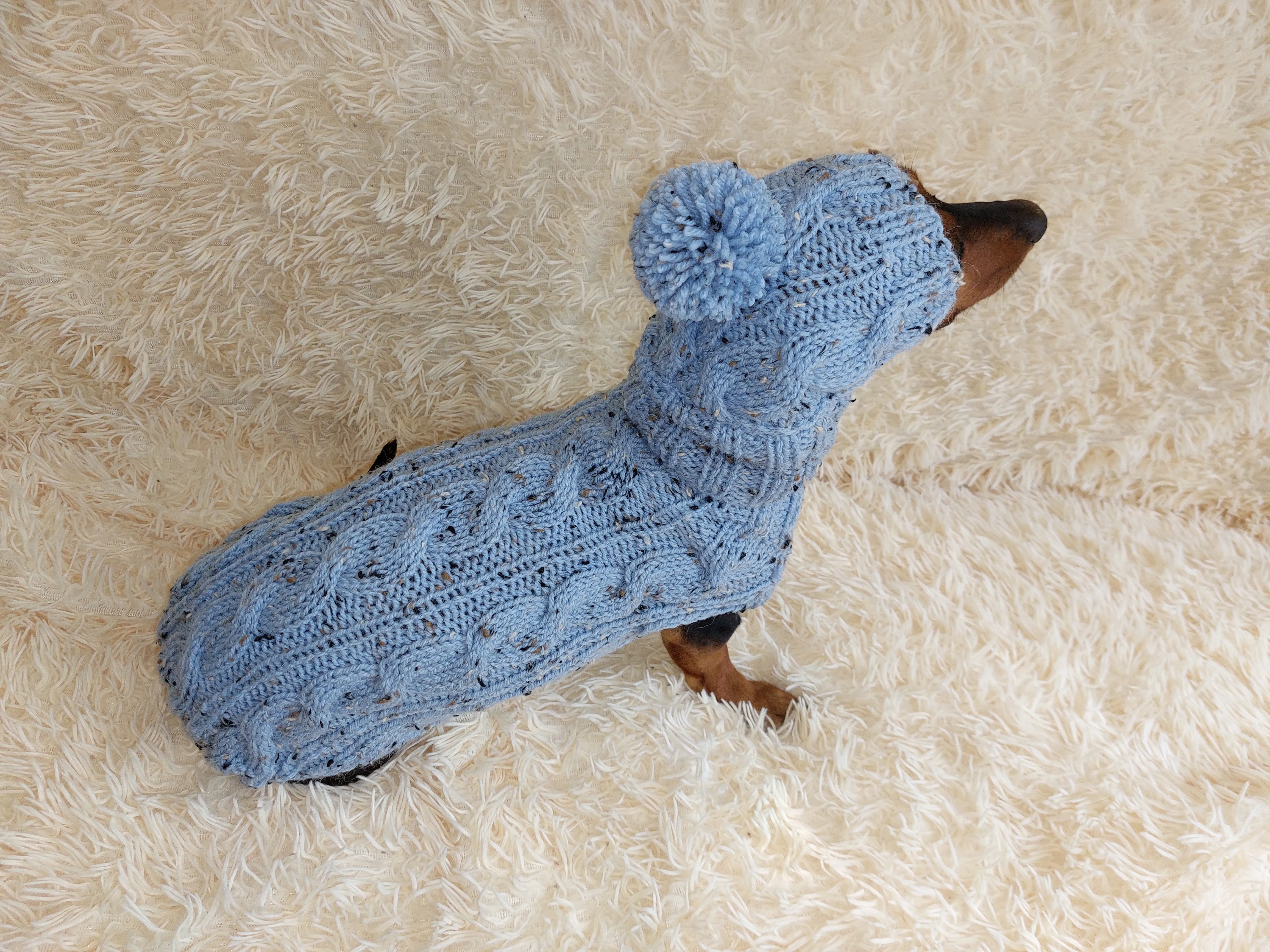 Dog clothes set sweater and hat with arana wool alpaca, jumper and hat winter warm alpaca wool, wool winter clothes for dachshund