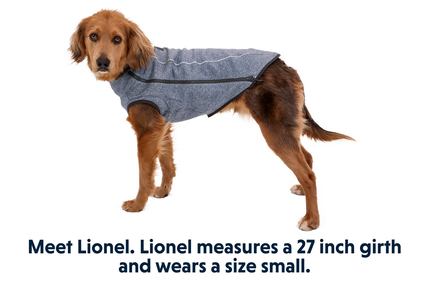 Hemp Hound™ Dog Sweater