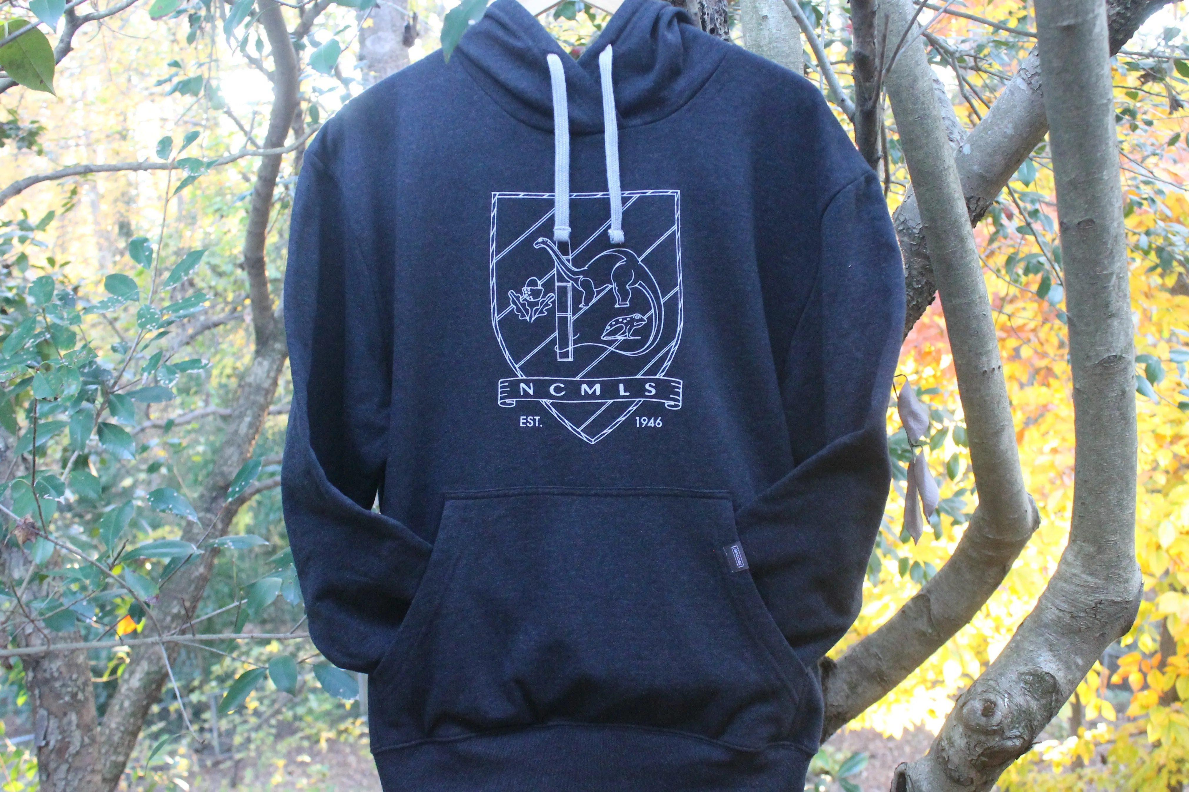 Vintage Logo Hoodie (youth   adult)